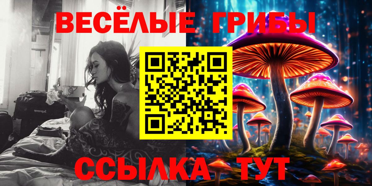 Псилоцибиновые грибы мицелий  Вход с VPN  Архангельск  Галлюциногенные грибы Psilocybine cubensis 